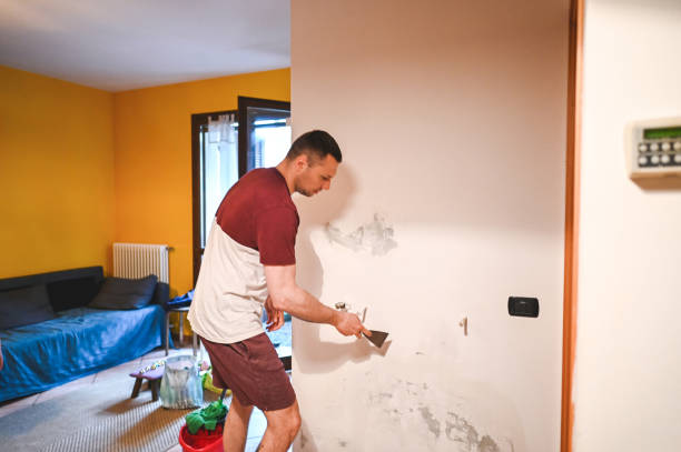Best Industrial Mold Remediation in Reno, NV